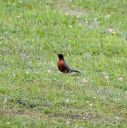 DSC_0006.JPG