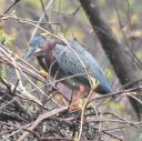 DSC_2120c.jpg