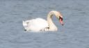 Filename=DSC_2539c.jpg
Filesize=111KiB
Dimensions=821x445
Date added=May 22, 2019 DSC_2539c.jpg
