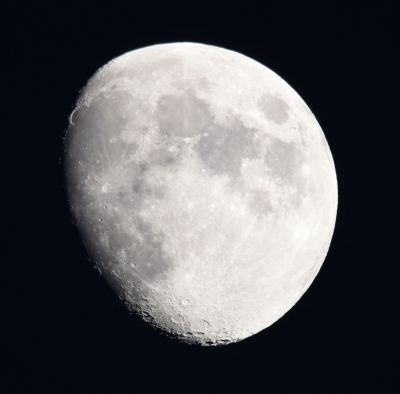 DSC_3251c.jpg