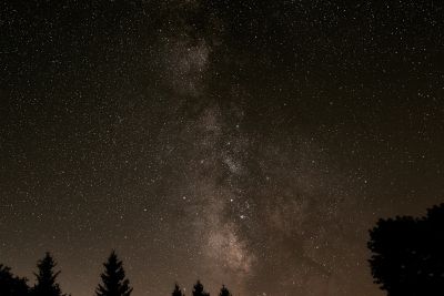 IMG_0884c.jpg