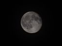 DSC_0292c2.jpg