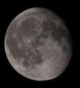 DSC_0330c.jpg