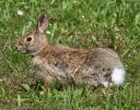 DSC_2263c.jpg